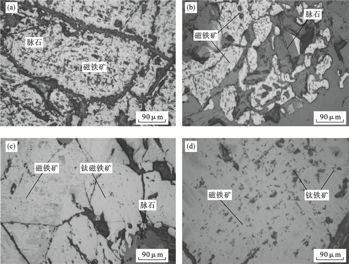 2a), 少量以长条状,他形粒状产出, 呈浸染状分布在脉石中(图 2b), 在